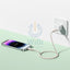 Baseus Habitat Series Fast Charging USB-C to Lightning Cable - 1M / Wheat Pink Accessories > Cables & Converters >