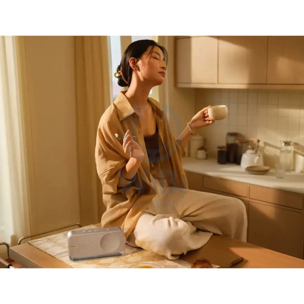 مكبر صوت Bose SoundLink هوم المحمولة - بلوتوث V5.4 / يو اس بي -فضي اكسسوارات  الصوت > سماعات الصوت > سماعات