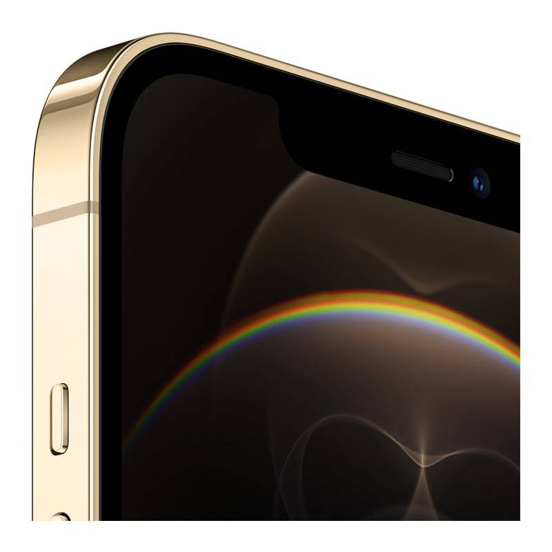 Apple iPhone 12 Pro Max - 256GB / 6.7" Super Retina XDR / Wi-Fi / 5G / Gold - Mobile - Tablet & Smartphones