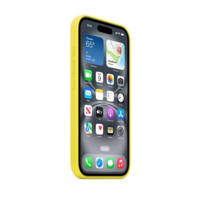 Apple Silicone Case with MagSafe - Apple iPhone 16 Pro Max / Star Fruit Accessories > Mobiles & Tablets > Mobiles >