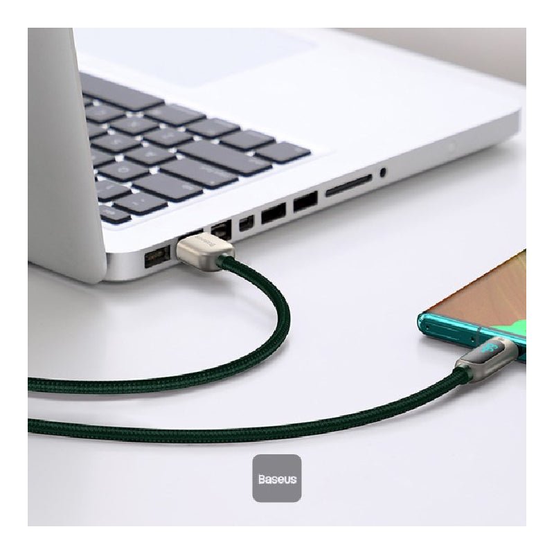 Baseus Display Fast Charging Data Cable - USB / Type-C / 66W / 1 Meter / Green