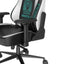 DXRacer Craft Pro Immortals Gaming Chair - Black/White