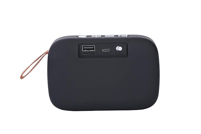 Foneng BL13 hand carry double Bluetooth Speaker - Black