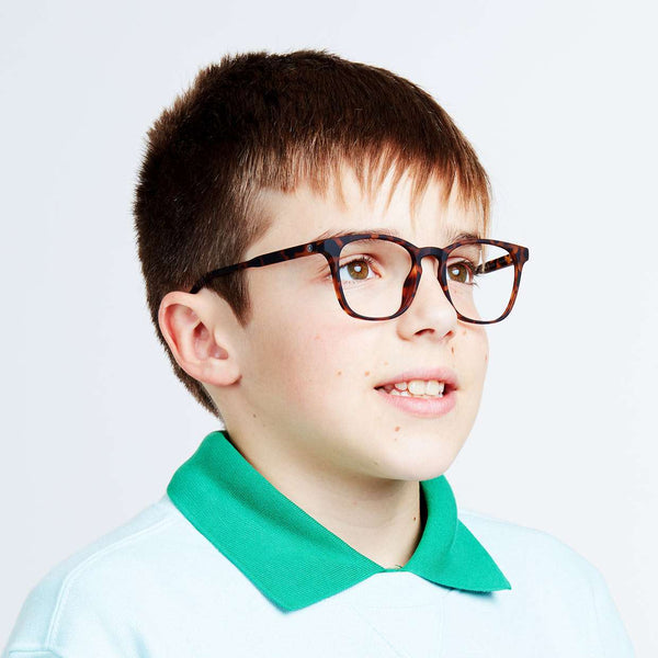 Barner Dalston Kids Screenglass - Tortoise