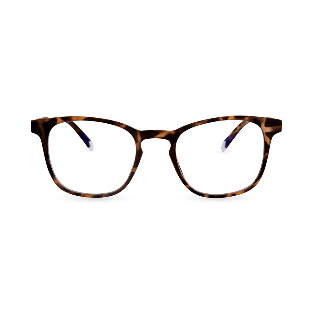 Barner Dalston Screenglass - Tortoise