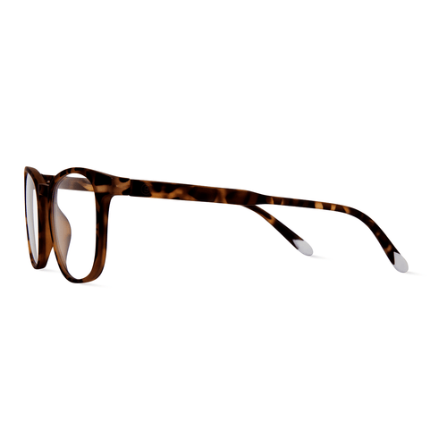 Barner Dalston Screenglass - Tortoise