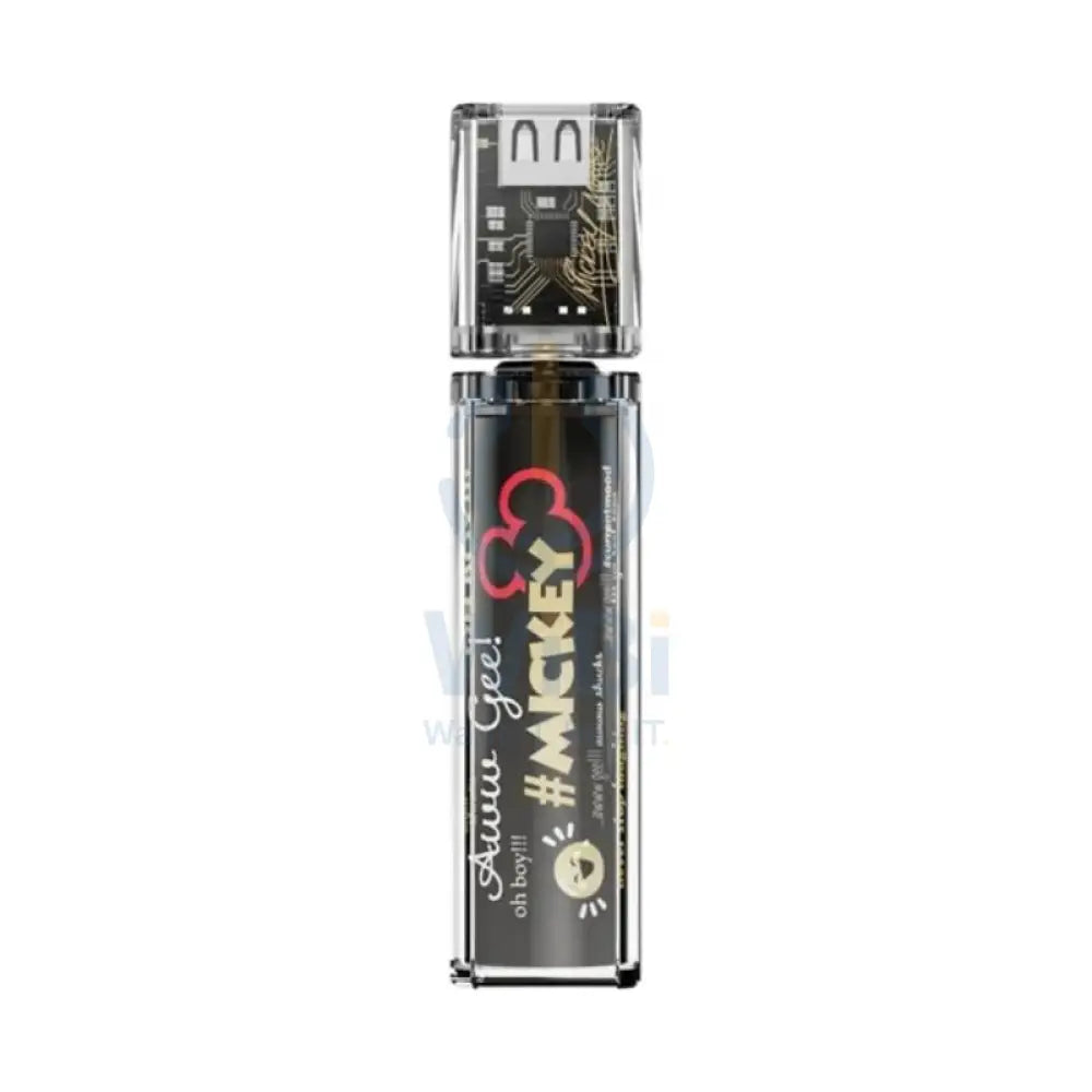Disney QS-D01 Single Transparent Magnetic Power Bank - Little Mickey Black Accessories > Power Bank