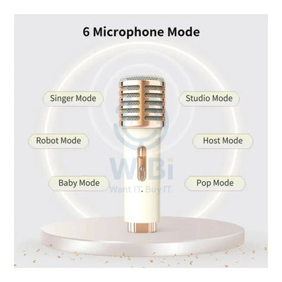 Divoom Songbird-HQ Portable Karaoke Bluetooth Speaker - White Accessories > Audio > Speakers