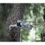 DJI Mini 4 Pro Fly More Combo Plus - 48MP / 4K UHD / USB / WiFi - Gray Smart Devices > Drones & Accessories