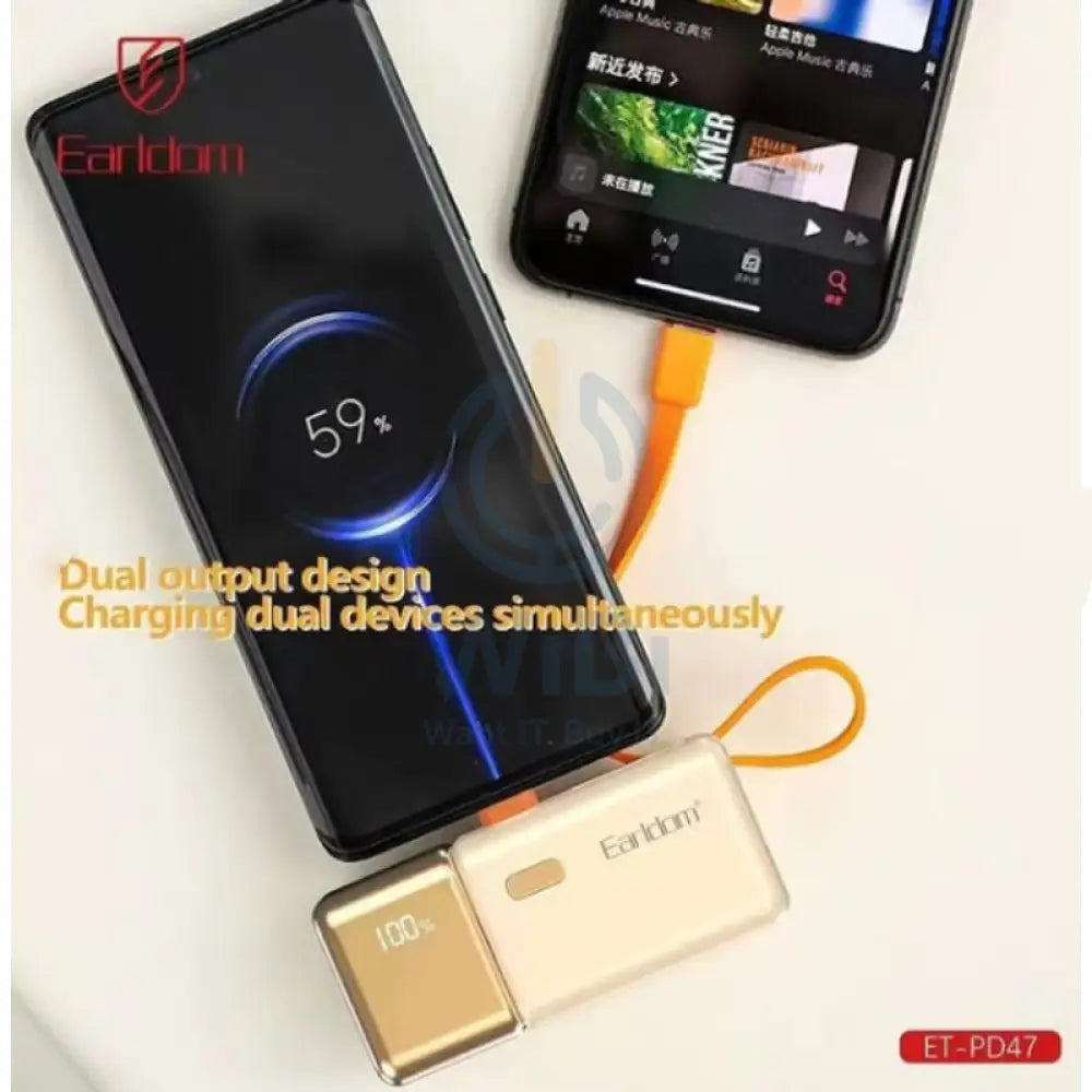 Earldom PD47 2-in-1 Mini PowerBank - 5000mAh / Gold Accessories > Power Bank
