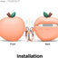 Elago AirPods 3 Peach Case - Peach Accessories > Mobiles & Tablets > Tablets