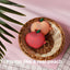 Elago AirPods Pro Peach Case - Red Accessories > Mobiles & Tablets