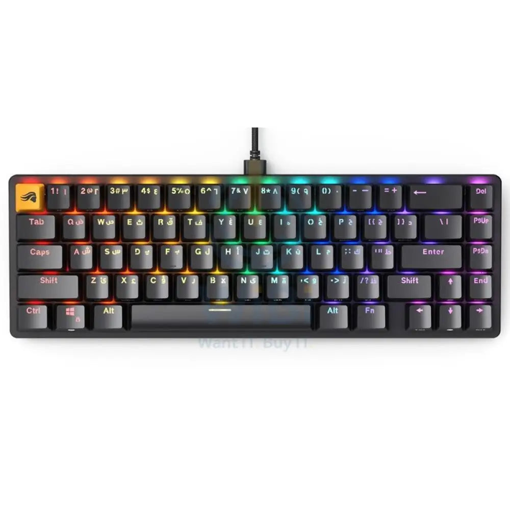 Glorious GMMK2 65% Pre-Built ANSI Wired RGB Mechanical Gaming Keyboard (Arabic Layout) - Black Accessories > Keyboard &