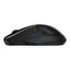 HP 250 Dual Wireless Mouse - Up to 1600 DPI / Black Accessories > Keyboard & Mouse