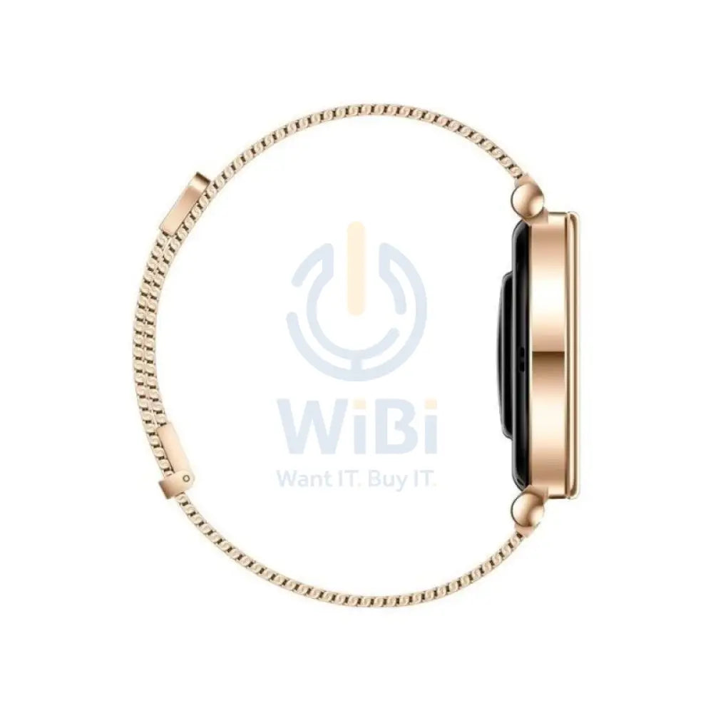 Huawei Watch GT4 41mm Stainless-Steel Body - Gold Smart Watches > Offer Zone