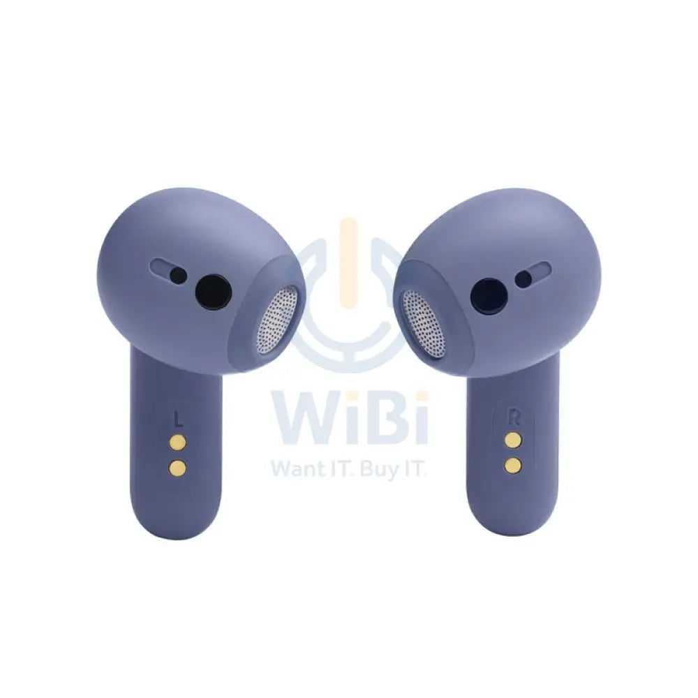 JBL Live Flex Bluetooth Wireless Earbuds - In-Ear / Wireless / Blue Accessories > Audio > Headphones
