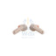 سماعات الأذن JBL Tune 230NC TWS الملغية للضوضاء - داخل الاذن / لاسلكي / اكسسوارات  الصوت > سماعات الرأس