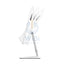 Lenovo IdeaCentre 3 AIO PC (Win 11 Home) - i3 / 4GB / 256GB (NVMe M.2 SSD) / 21.5" FHD Non-Touch / White / 1YW - Desktop