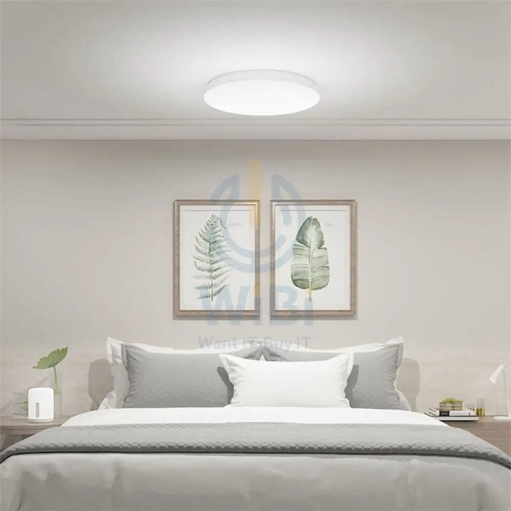Mi Smart LED Ceiling Light 450mm Accessories > Smart Devices