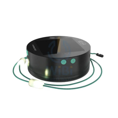 MPOWERD Luci Warm White Solar String Lights - 5.5 Meter / Black Outdoor & Travel