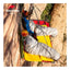 Naturehike (Snowbird) Mummy Duck Down Sleeping Bag - Medium / Smoke Brown Outdoor & Travel > Bags