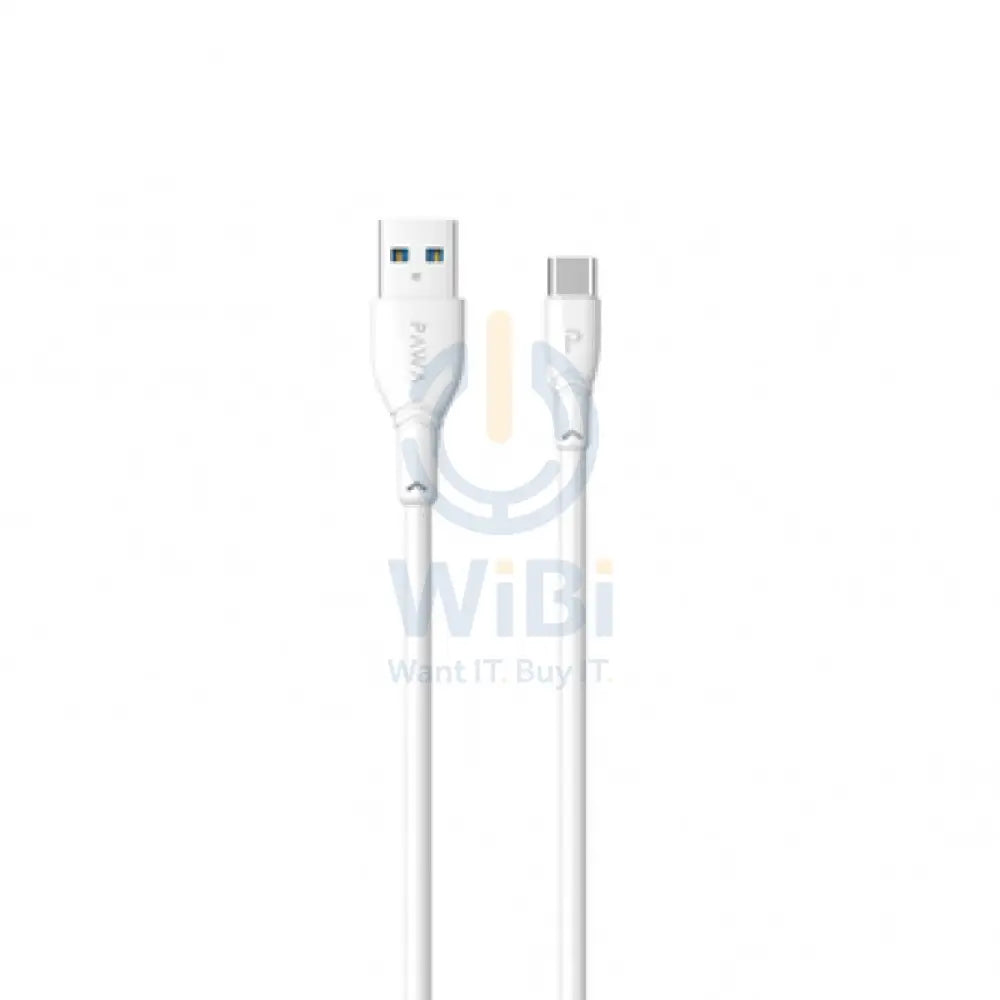 PAWA 1.2M PVC Data Cable Type-C - White – WIBI (Want IT. Buy IT.)