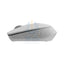 Rapoo M100 Silent Wireless Mouse - 2.4 GHz / 1300 DPI / Bluetooth / USB - Light Grey Accessories > Keyboard & Mouse