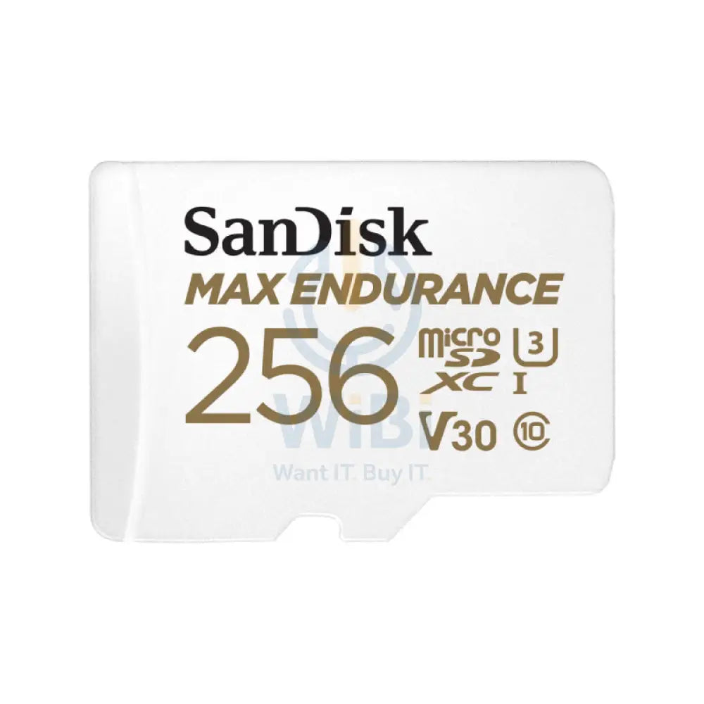 SanDisk MAX ENDURANCE microSD Card - 256GB / Up to 100MB/s Storage > Memory Cards