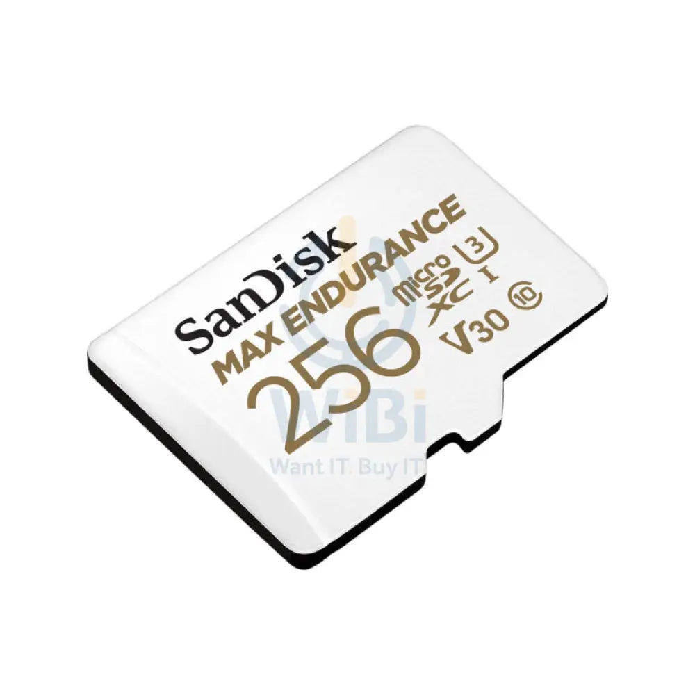 SanDisk MAX ENDURANCE microSD Card - 256GB / Up to 100MB/s Storage > Memory Cards