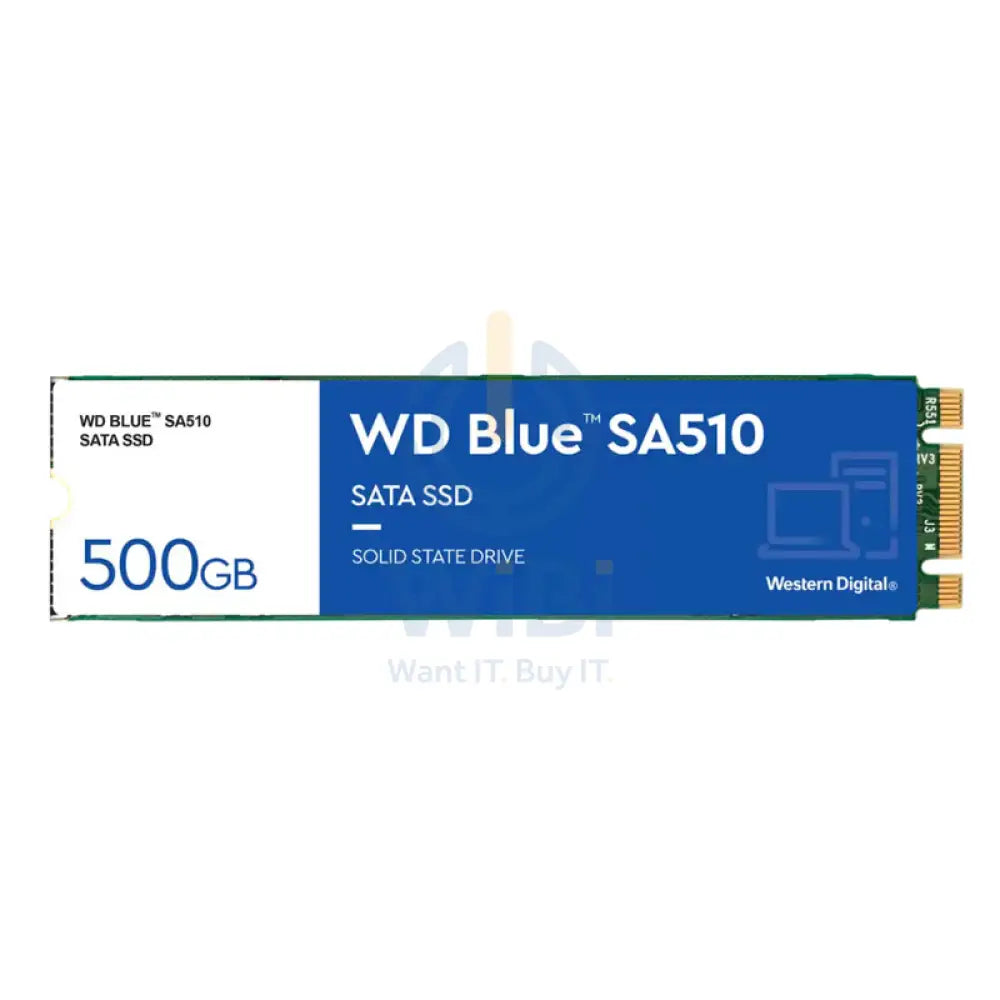 ويسترن ديجيتال أزرق SA510 م.2 2280 ساتا إس إس دي - 500 جيجابايت / م.2 2280 / ساتا- إس إس دي صلبة حالة محرك الدولة) تخزين  صلبة > حالة محرك الدولة