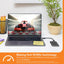 WD My Passport SSD - 1TB / Up to 1050MB/s / USB-C / Space Gray / External SSD (Solid State Drive) Storage > USB Solid