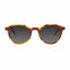 Barner Williamsburg Sunglasses - Havana Sun