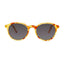Barner Williamsburg Sunglasses - Light Havana Sun