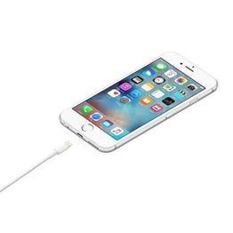 Apple Lightning to USB Cable - 1M / White