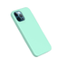 Araree Typo Skin Case For iPhone 12 Pro Max - Mint