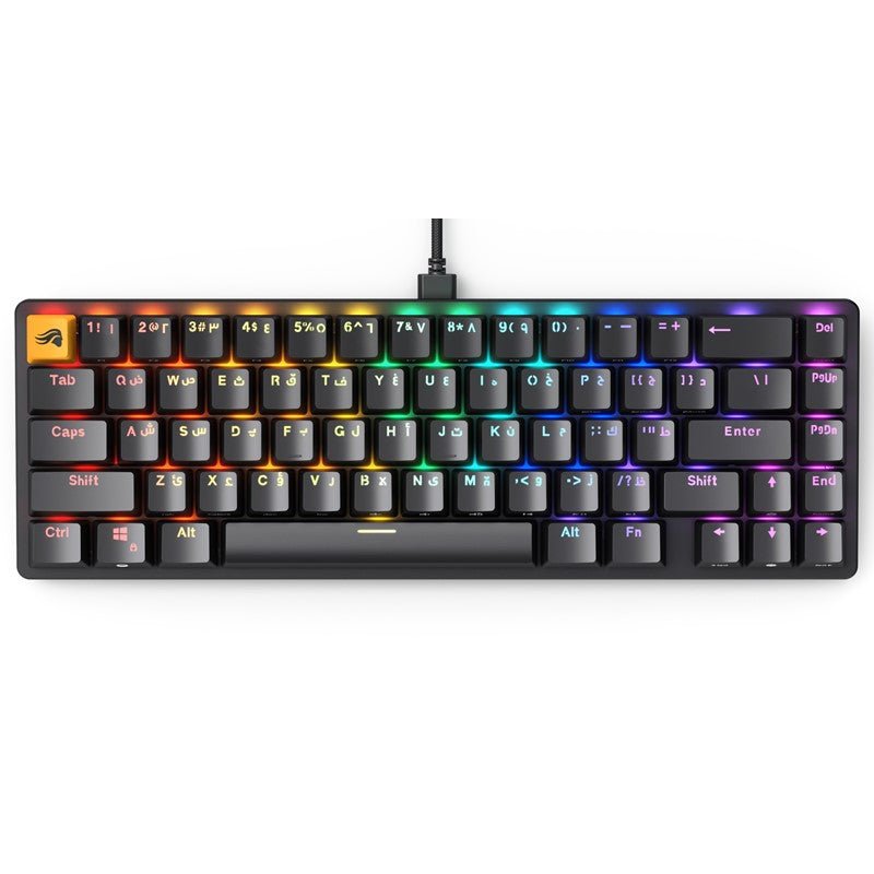 Glorious GMMK2 65% Pre-Built ANSI Wired RGB Mechanical Gaming Keyboard (Arabic Layout) - Black