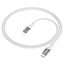 Hoco U115 Type C to Type C PD 100W Transparent Data Cable With Display – Gray