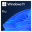 مايكروسوفت ويندوز 11 محترف - 1 ترخيص مستخدم / 64-بت / دي في دي