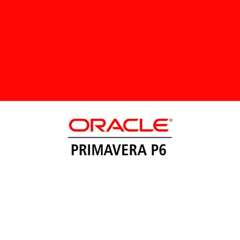Oracle Primavera P6 PPM Perpetual - 1 User / Lifetime License